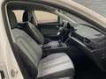 SEAT Leon 2.0 TDI 85kW SS Style Go 5p Blanc - thumbnail 18