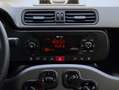 Fiat Panda 1.0 Firefly Hybrid City Life S 70CV IVA ESPOSTA Nero - thumbnail 6