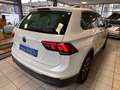 Volkswagen Tiguan 2.0 TDI Life Auto. ACC LED ergoComfor AHK Weiß - thumbnail 12