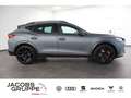 CUPRA Formentor 2.5 TSI 4Drive Grey Edition DSG,Nav Grau - thumbnail 4