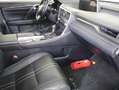 Lexus RX 450h 4WD President Line | Trekhaak | Schuifdak | Treepl Weiß - thumbnail 22