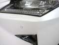 Lexus RX 450h 4WD President Line, Trekhaak, Schuifdak, Treeplank White - thumbnail 13