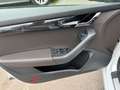 Skoda Octavia Combi L&K 4x4 Aut Navi Panorama AHK Weiß - thumbnail 25