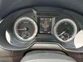 Skoda Octavia Combi L&K 4x4 Aut Navi Panorama AHK Weiß - thumbnail 19