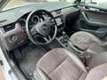 Skoda Octavia Combi L&K 4x4 Aut Navi Panorama AHK Weiß - thumbnail 13