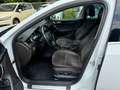 Skoda Octavia Combi L&K 4x4 Aut Navi Panorama AHK Weiß - thumbnail 11