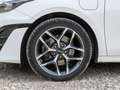 Kia Ceed SW / cee'd SW Ceed Sportswagon 1.6 Hybrid PLATINUM EDITION GHD Белый - thumbnail 7