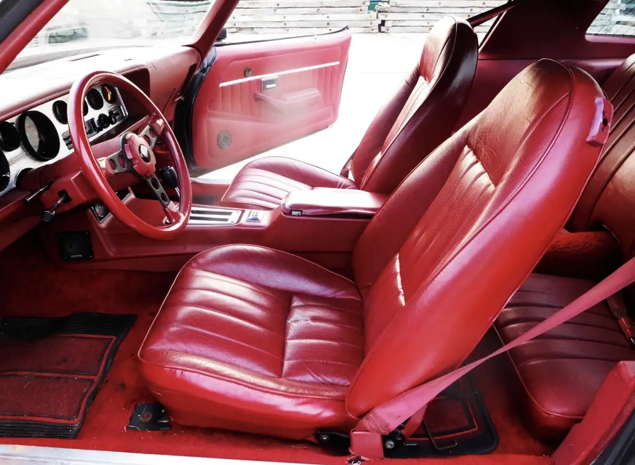 Pontiac Firebird Trans am pakket, foto 9