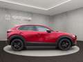 Mazda CX-30 NAGISA +BOSE+KAMERA+ Rouge - thumbnail 6