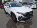 Hyundai TUCSON Tucson NX4 Smart Line 1,6 T-GDi 2WD t5bs1-P3 Blanc - thumbnail 8