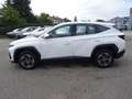 Hyundai TUCSON Tucson NX4 Smart Line 1,6 T-GDi 2WD t5bs1-P3 Blanc - thumbnail 3