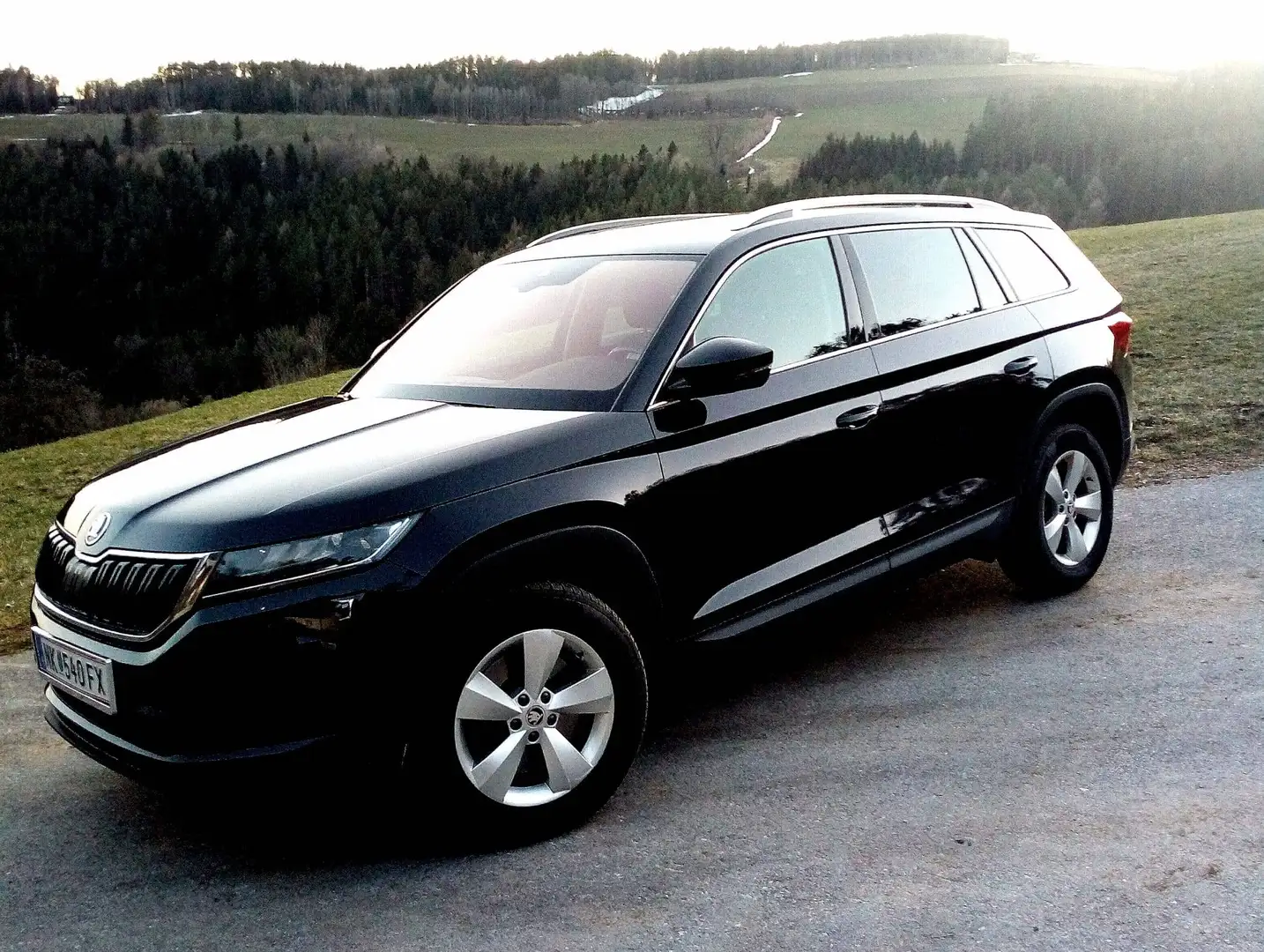 Skoda Kodiaq Kodiaq 2,0 TDI SCR 4x4 Style DSG Style Schwarz - 2