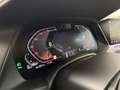 BMW X6 xDrive 30d M-Paket *MwSt.ausweisbar Silber - thumbnail 32