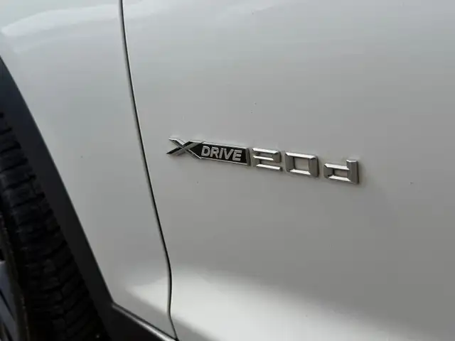 BMW X4 view 19