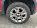 Fiat Panda 1.3 Mjt 16v 75cv S&S 4x4 Rosso - thumbnail 7