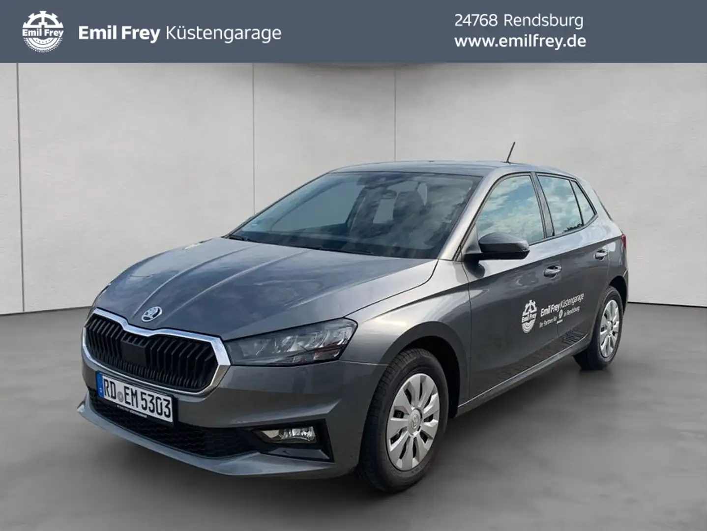 Skoda Fabia 1.0 TSI Selection Grau - 1