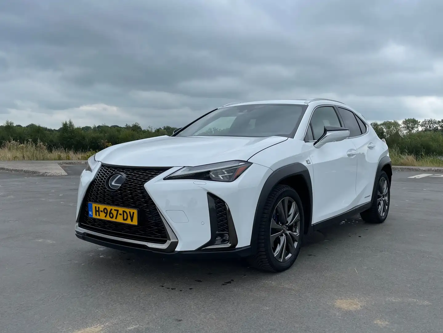 Lexus UX 250h AWD F Sport PR. | SCHUIFDAK | HEAD-UP | TREKHAAK Wit - 2