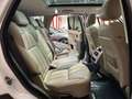 Land Rover Range Rover Sport 3.0TDV6 HSE Aut. Blanco - thumbnail 13