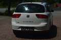 SEAT Altea XL Style 1,9 TDi DPF 4WD+Allrad+8FachBereift+ Weiß - thumbnail 4