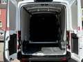 Ford Transit 350 L2H2 *Klima*Tempomat*PDC*Allwetterr. Weiß - thumbnail 15