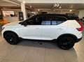 Volvo XC40 XC40 2.0 b3 Ultra Black Edition auto Blanc - thumbnail 7