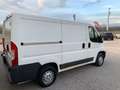 Citroen Jumper 2.2 HDI 110CV  L1 H1 Blanc - thumbnail 9