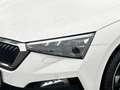 Skoda Scala 1.0 TSI Tour *AHK*KAMERA*LED* Weiß - thumbnail 8