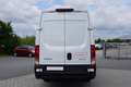 Iveco Daily 35S16V 4100L H2 2.3L 156 PS Klimaautomatik Wit - thumbnail 3