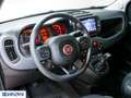 Fiat Panda Panda Cross 1.0 FireFly S&S Hybrid - "PREZZO VERO" Rouge - thumbnail 11