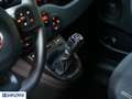Fiat Panda Panda Cross 1.0 FireFly S&S Hybrid - "PREZZO VERO" Rouge - thumbnail 14