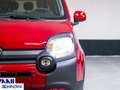 Fiat Panda Panda Cross 1.0 FireFly S&S Hybrid - "PREZZO VERO" Rouge - thumbnail 15