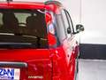 Fiat Panda Panda Cross 1.0 FireFly S&S Hybrid - "PREZZO VERO" Rouge - thumbnail 16