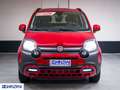 Fiat Panda Panda Cross 1.0 FireFly S&S Hybrid - "PREZZO VERO" Rouge - thumbnail 3