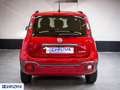 Fiat Panda Panda Cross 1.0 FireFly S&S Hybrid - "PREZZO VERO" Rouge - thumbnail 5