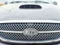 Kia Carnival II 2.9 CRDi EX Leder 7 Sitze Klima PDC Noir - thumbnail 11