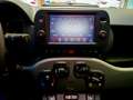 Fiat Panda Panda 1.2 SPORT GPL Grau - thumbnail 8