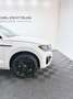 Volkswagen Touareg V8*R*AHK*4M*SHZ*4WS*ARS*BlackStyle*Dynau Weiß - thumbnail 10