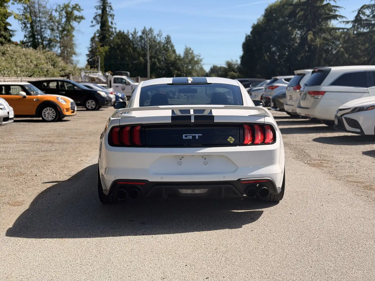 Ford Mustang снимка Ford Mustang