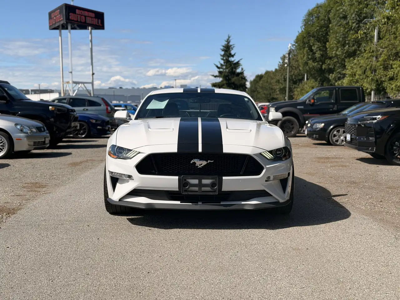 Ford Mustang снимка Ford Mustang