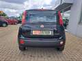 Fiat Panda MODELL 2025 1.0 Hybrid CITY-PAKET KLIMA Zwart - thumbnail 6