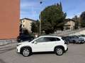 Suzuki SX4 S-Cross S-Cross II 2022 1.4h Top 4wd allgrip 129cv Bianco - thumbnail 2