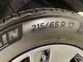 Nissan Qashqai 1.3 mild hybrid Business 2wd 140cv - PROMO Bianco - thumbnail 19