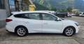 Ford Focus SW 1.5 ECOBLUE AUTOCARRO 5 POSTI Blanc - thumbnail 5