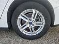 Ford Focus SW 1.5 ECOBLUE AUTOCARRO 5 POSTI Blanc - thumbnail 17
