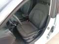 Audi Sonstige AUDI - A1 Sportback  - 1.0 TFSI ADMIRED Weiß - thumbnail 12