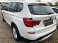 BMW X3 xDrive 20d *AHK*PANO*XENON*SHZG*PDC*NAVI*Business Weiß - thumbnail 3