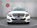 Mercedes-Benz GLK 250 CDI BT 4MATIC *Aut.*Navi*Temp.*PDC*AHK* Weiß - thumbnail 8