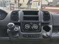 Forster V541 VAN 541 Youngster Hubbett Dieselheizung Grijs - thumbnail 11