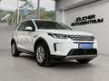 Land Rover Discovery Sport 1.Hand, Scheckheft Weiß - thumbnail 1
