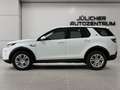 Land Rover Discovery Sport 1.Hand, Scheckheft Weiß - thumbnail 5